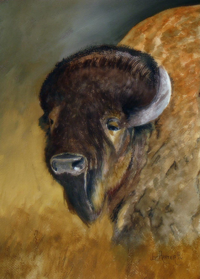 Plains Buffalo Painting by Joe Prater - Fine Art America