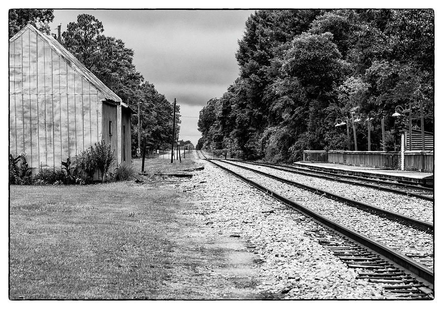 Plains Tracks BW  Photograph by Ginger Stein