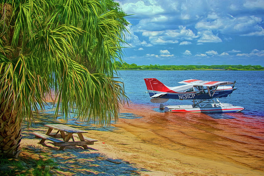 Tree Photograph - Plane on The Lake by Lewis Mann