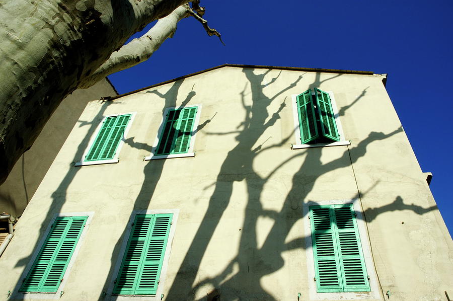 Plane tree casting shadows on a quaint building Photograph by Sami Sarkis