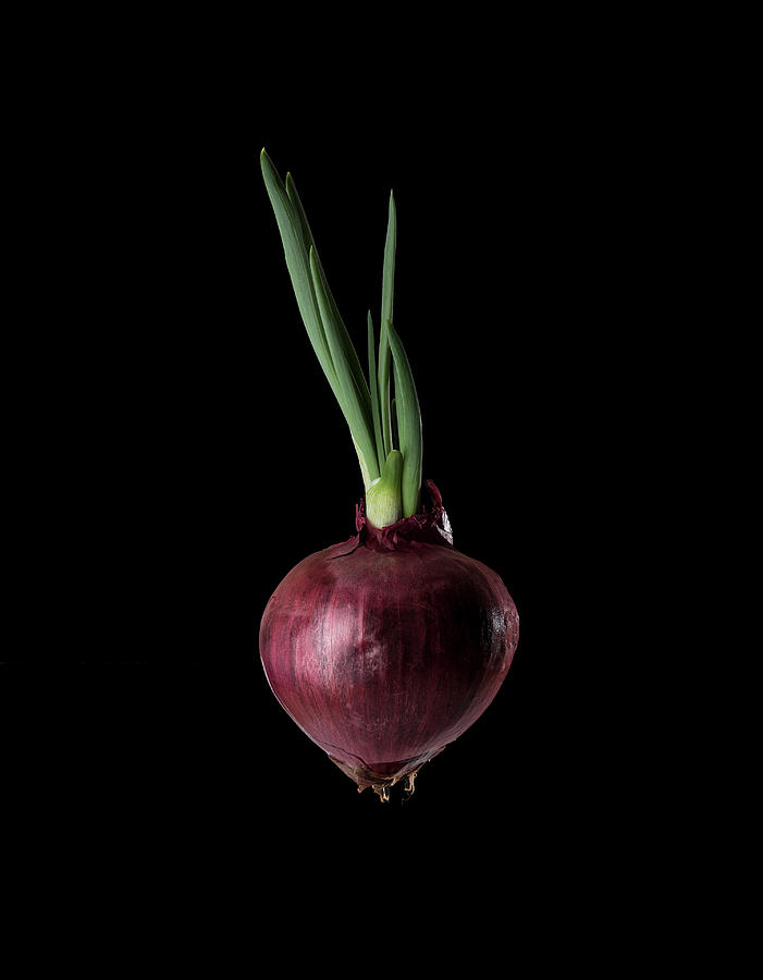 Planet Onion Photograph