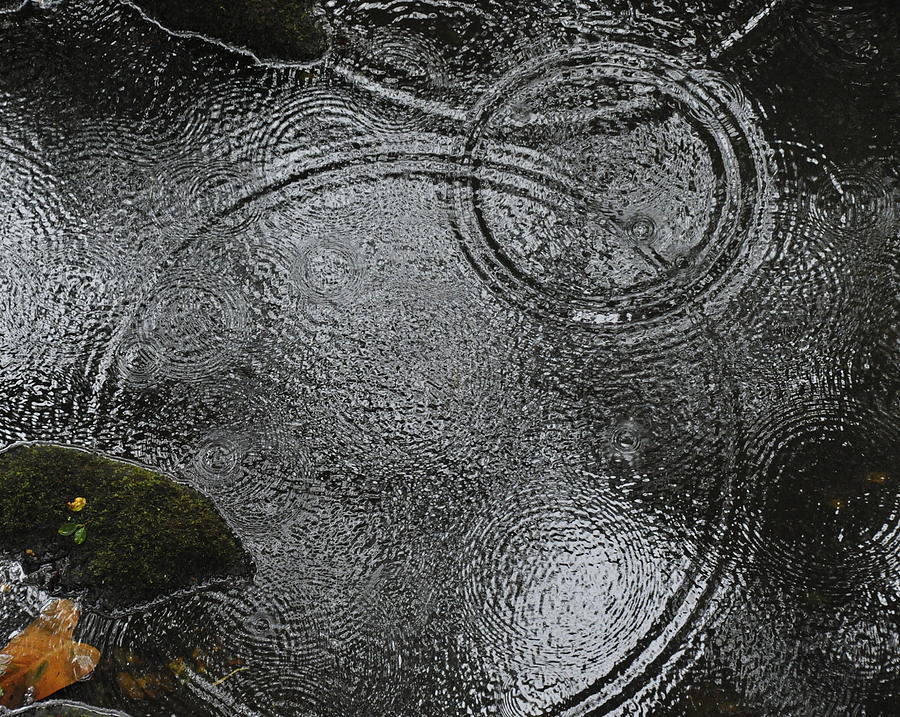 Planetary Intersection in a Puddle Photograph by Heidi Fickinger