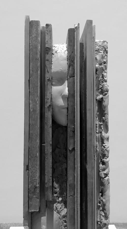 Still Life Photograph - PLANK FACE VERTICAL B W  a k a HERES JOHNNY by Rob Hans
