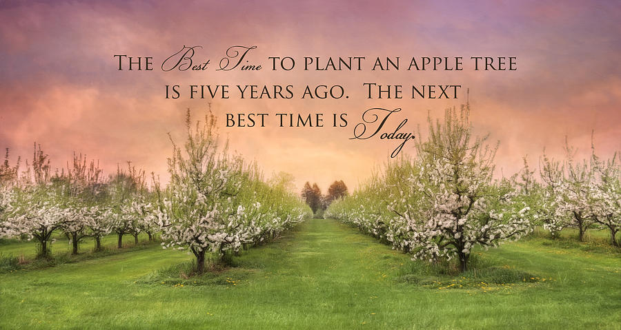 Spring Photograph - Plant an Apple Tree by Lori Deiter