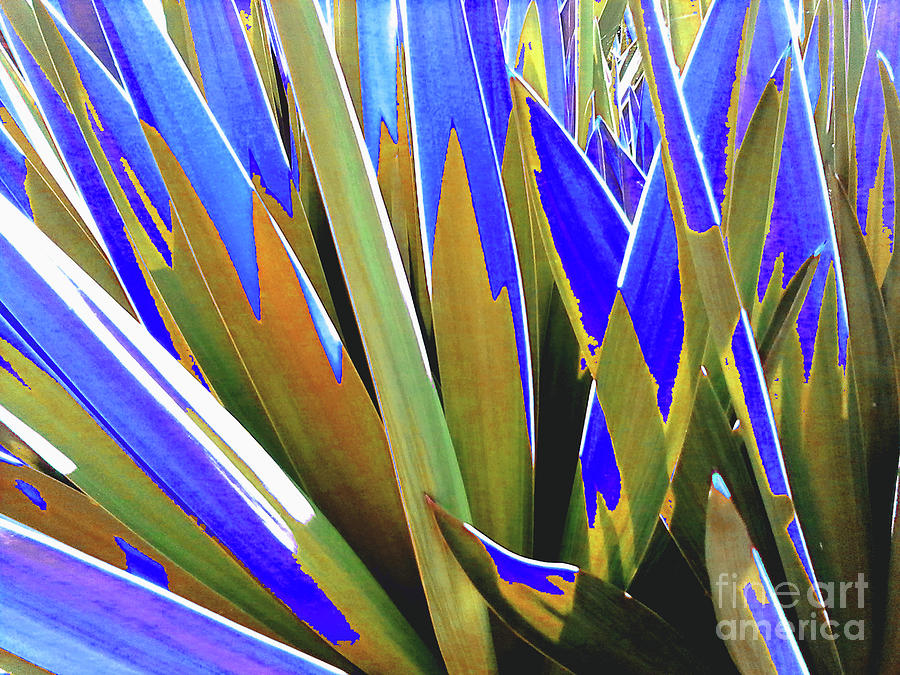 Plant Burst - Blue Photograph by Rebecca Harman