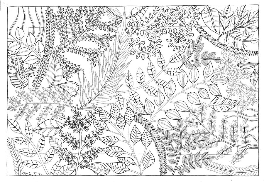 Plant Design Drawing by Gabby Van Heerden