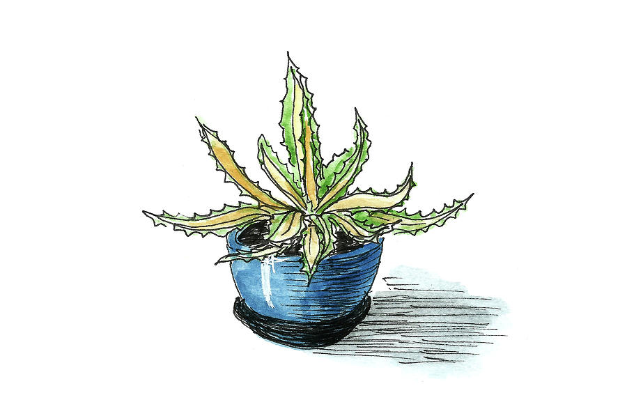 Plant in the pot Painting by Masha Batkova