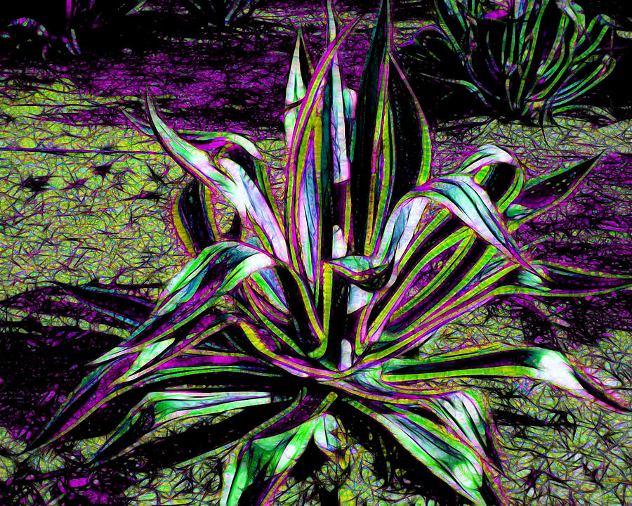 Plant Landscape in Abstract by Kristalin Davis Photograph by Kristalin Davis