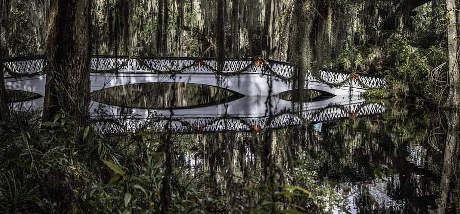 Plantation Bridge over swamp Photograph by John McGraw