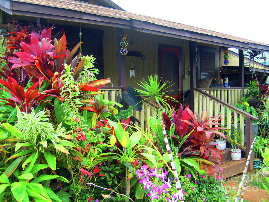 Kauai Plantation Home Photograph by Nieves Nitta