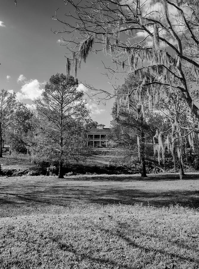 Plantation House with Spanish Moss One Black and White Photograph by Joshua House