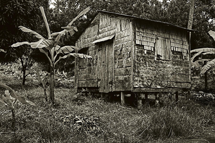 Plantation Hut- St Lucia Photograph by Chester Williams