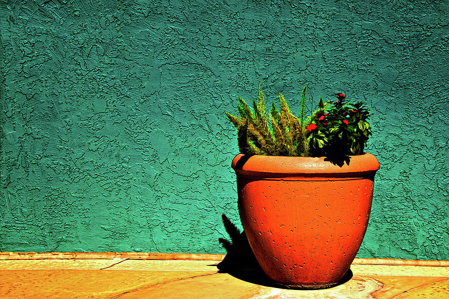 Planter Photograph by Maria Coulson