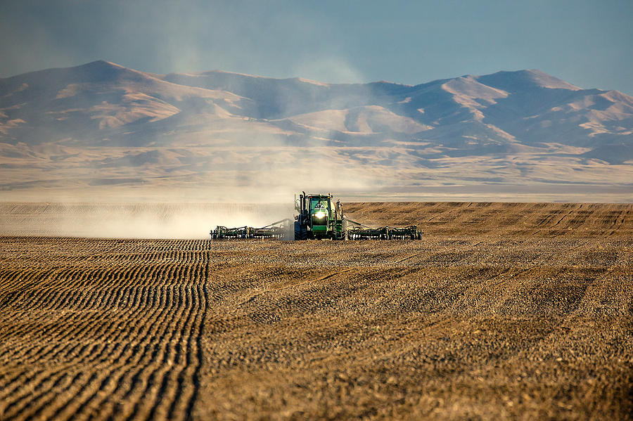 Planting Orangic Wheat Photograph by Todd Klassy