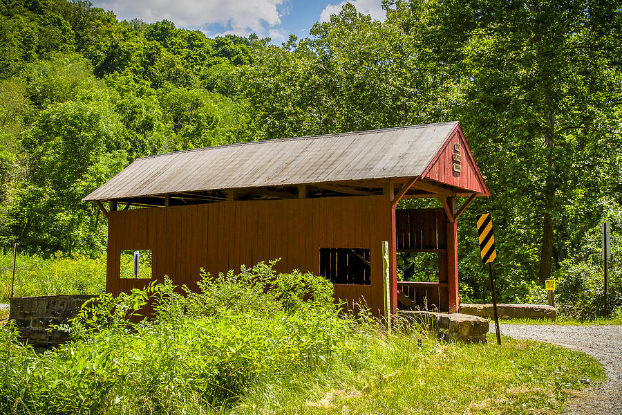 Plants Covered Bridge Photograph by Jack R Perry
