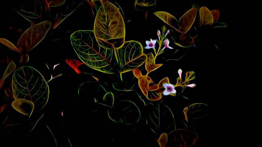Plants In Abstract 19 by Kristalin Davis Photograph by Kristalin Davis