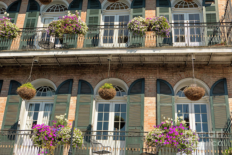 Balconies with plants in New Orleans Photograph by Patricia Hofmeester