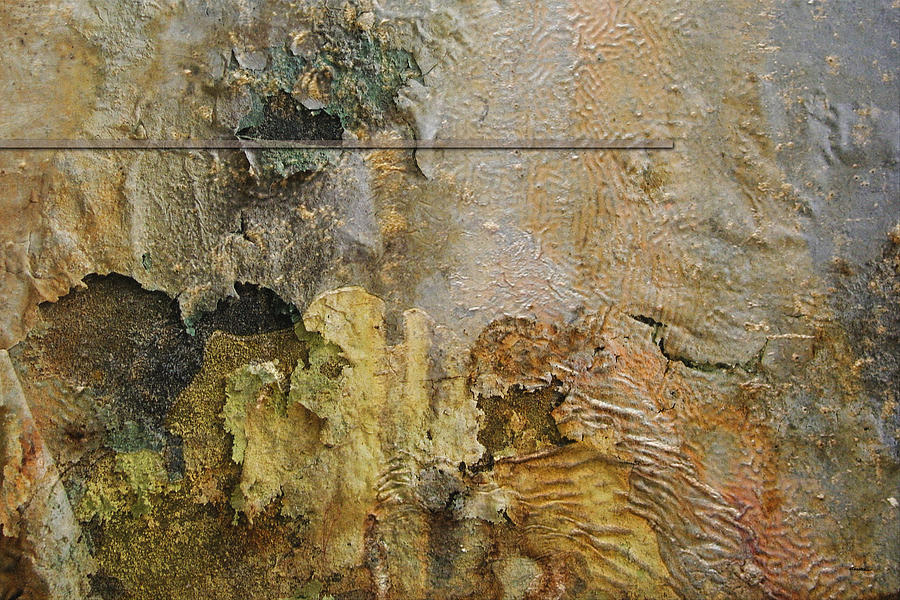 Plaster, No. 1 by James Kramer Plaster, No. 1 by James Kramer