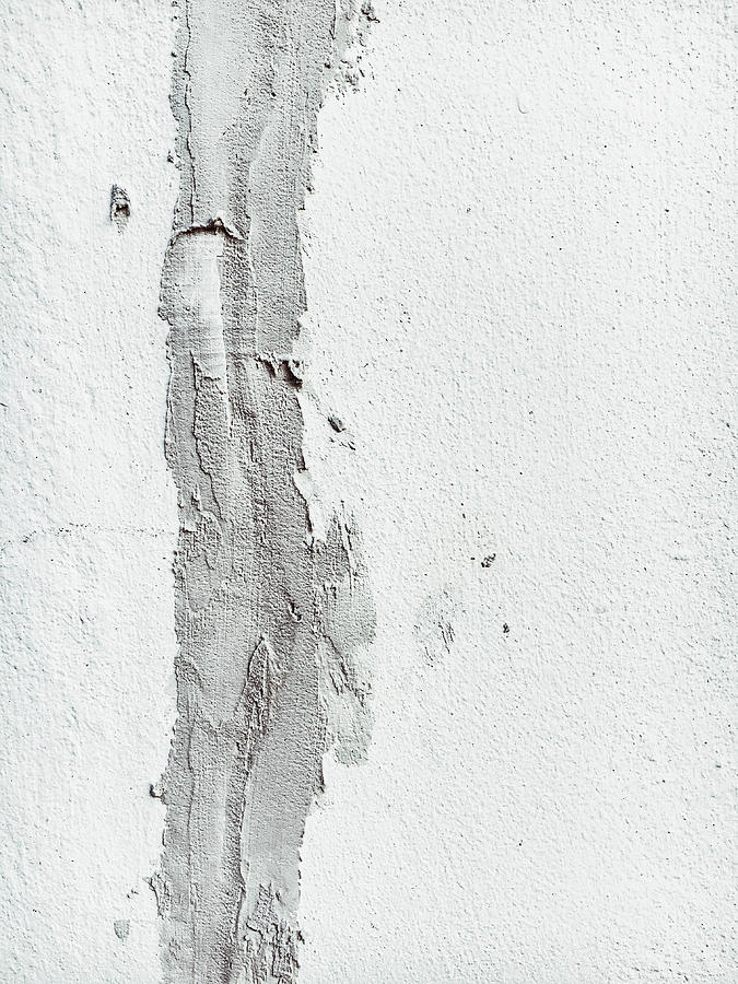 Plaster on a wall Photograph by Tom Gowanlock