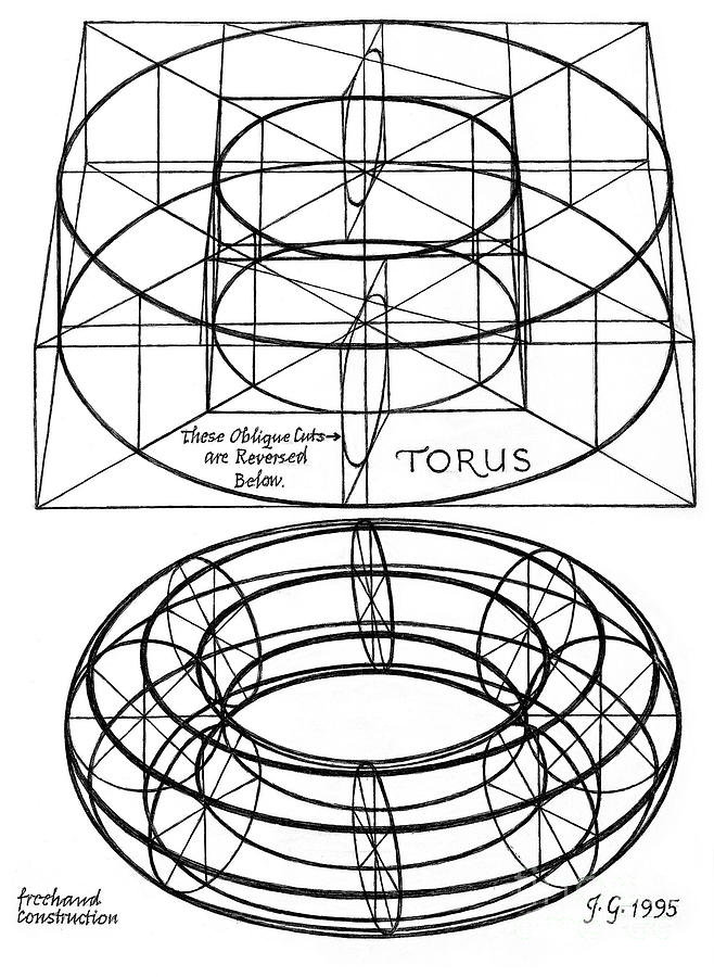 Plate 44 - Freehand Torus Drawing by Johannes VON GUMPPENBERG