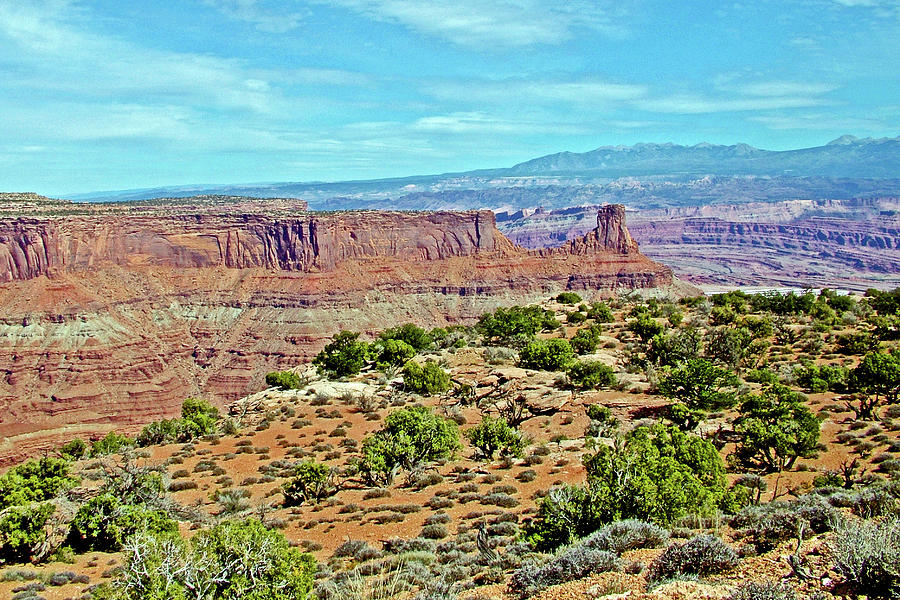 Plateau of Junipers in Dead Horse Point State Park, Utah Photograph by Ruth Hager