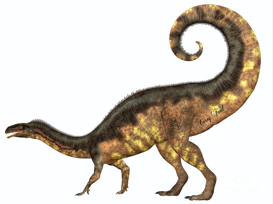 dinosaur with tail on head