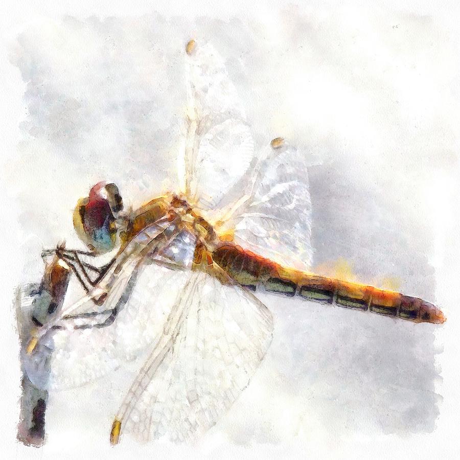 Platinum White Dragonfly Watercolor Painting by Taiche Acrylic Art