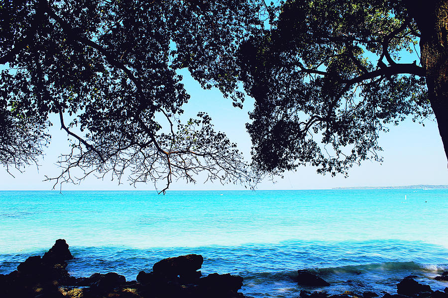 Nature Photograph - Playa Blanca by Infinite Pixels