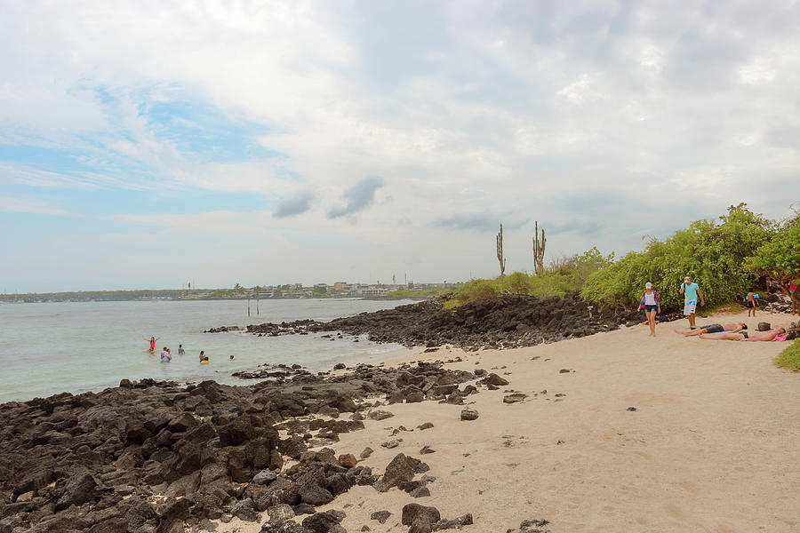 Playa de la Estacion on Santa Cruz island in Galapagos Photograph by