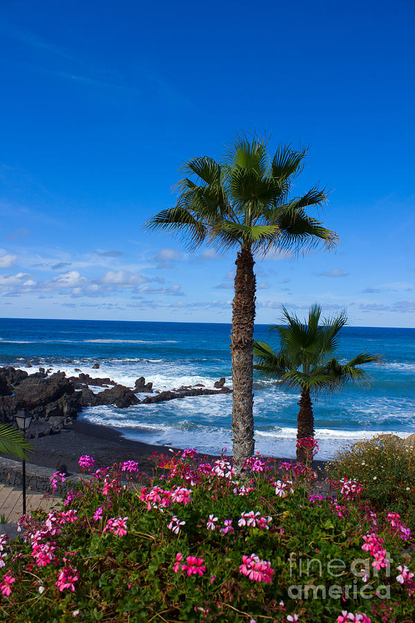 Playa Jardin in Tenerife Photograph by Anastasy Yarmolovich