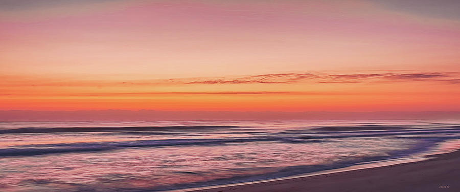 Playalinda Sunrise Mug Shot Photograph by John M Bailey