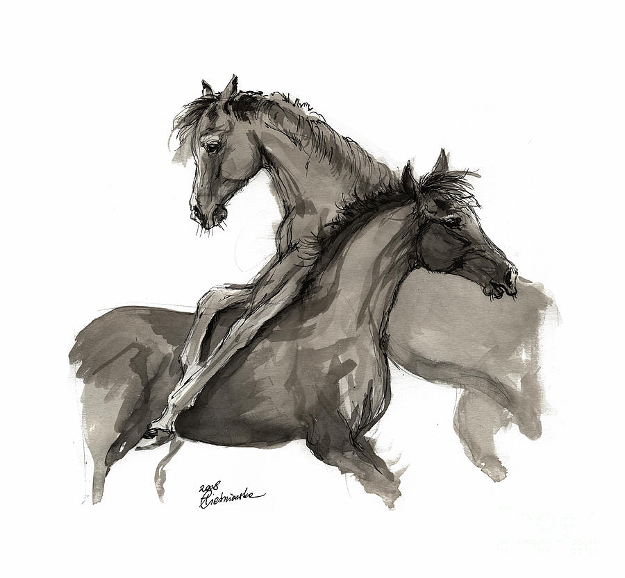 Playful Foals 2011 09 Drawing