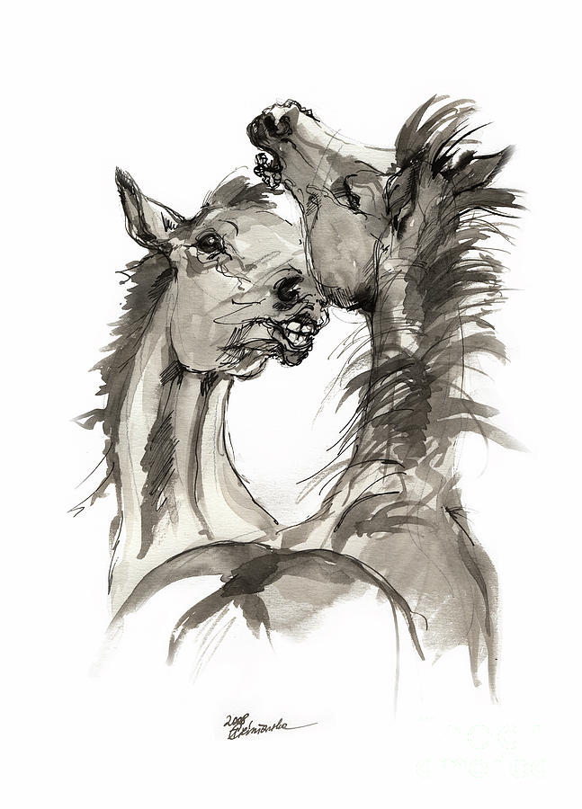 Playful foals  Drawing by Ang El
