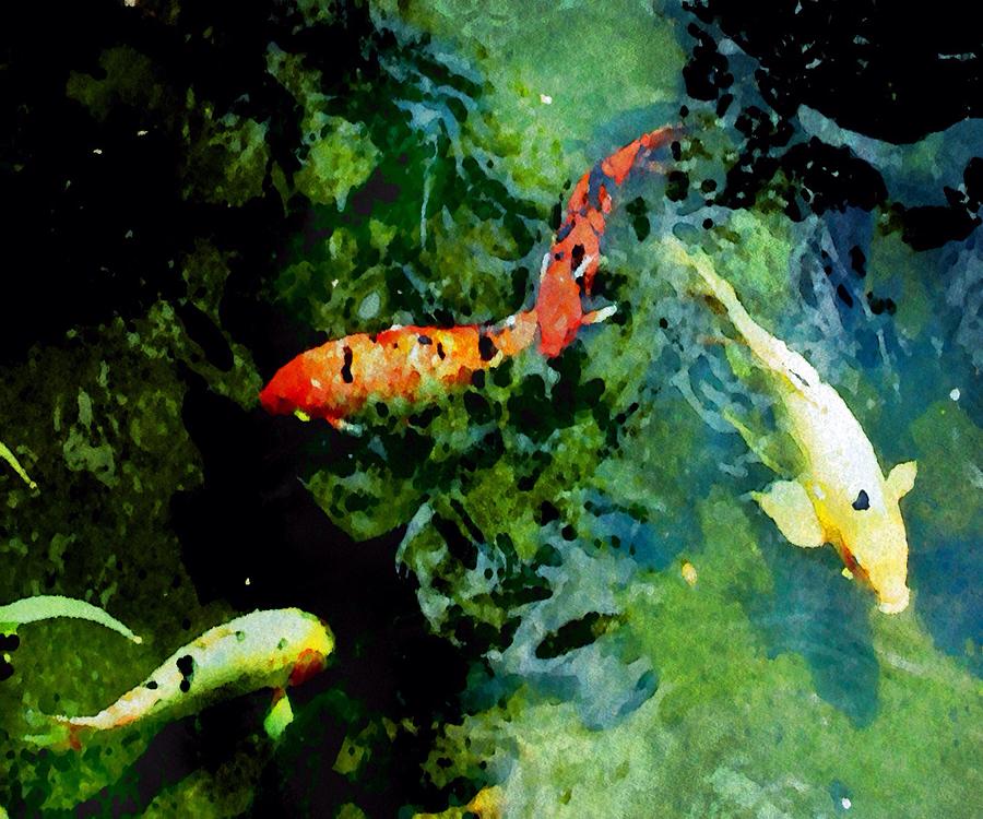 Playful Koi  Painting by Mark Taylor