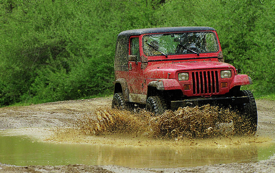 Playing in the Mud Photograph by Scott Hovind
