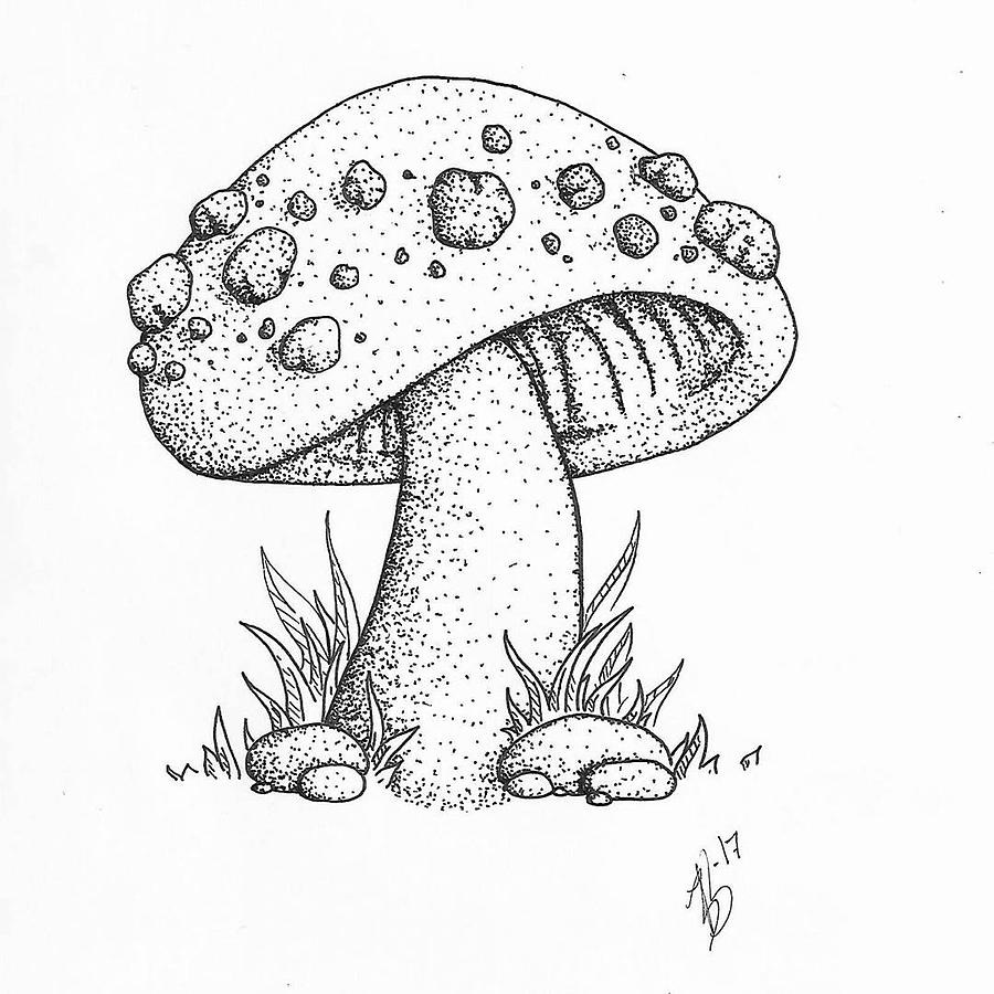 Pleasant mushroom Drawing by Brook Nelson Fine Art America
