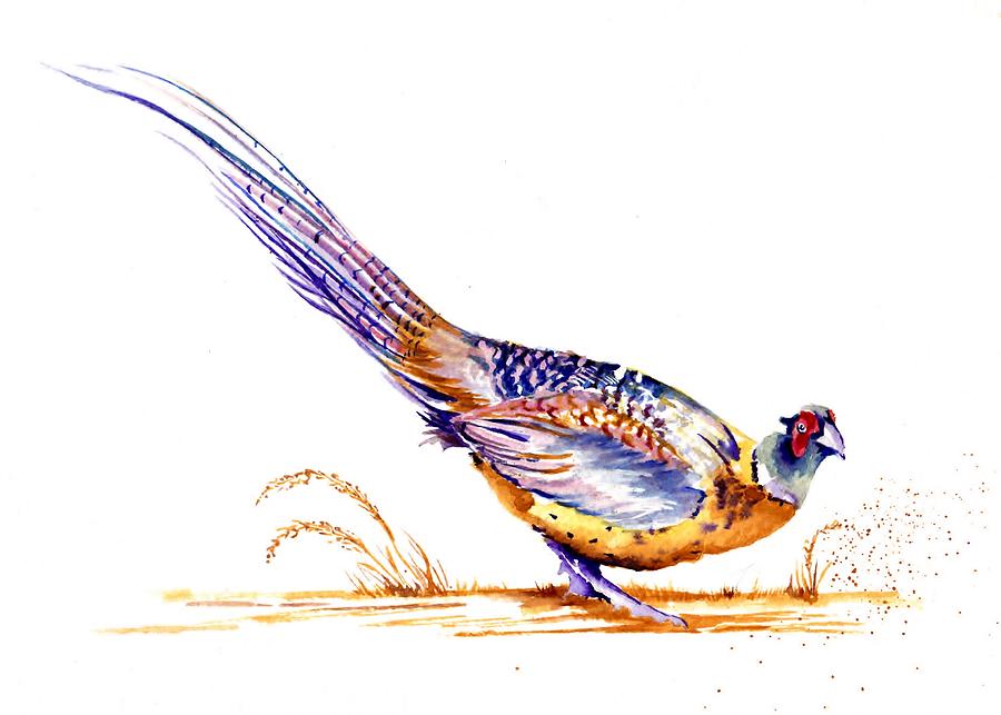 Pleasant Pheasant Painting by Debra Hall