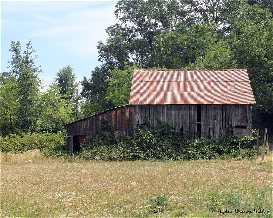 Pleasant Valley Barn 1 Photograph by Lydia Miller - Fine Art America