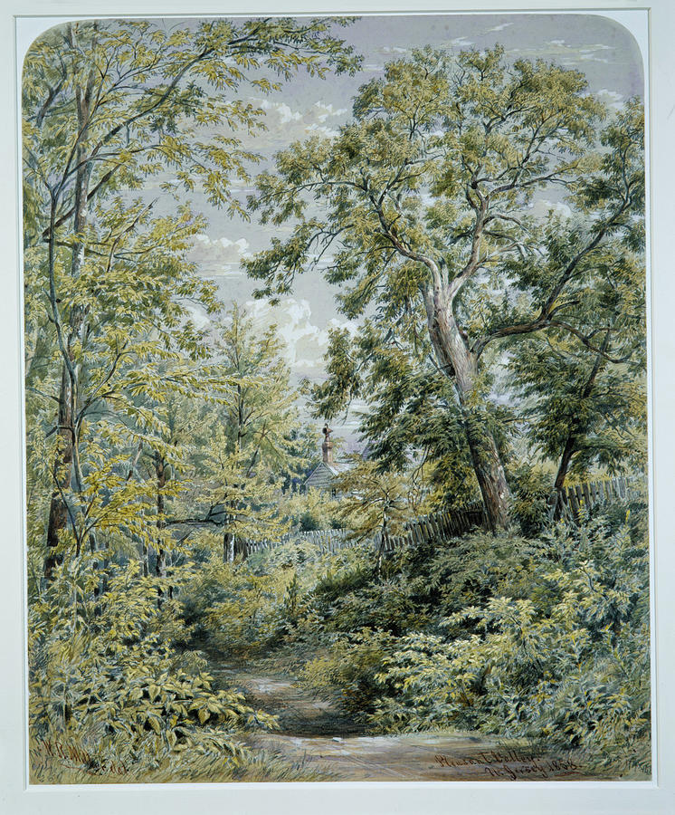 Landscape Drawing - Pleasant Valley. New Jersey by William Rickarby Miller