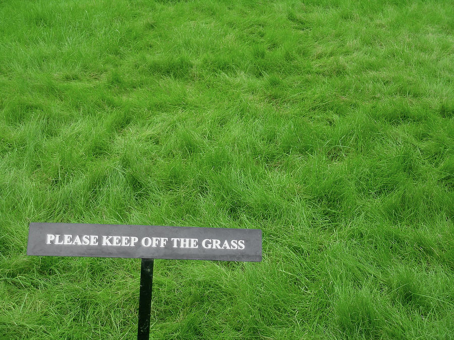 Please Keep Off the Grass Photograph by Jim DeLillo