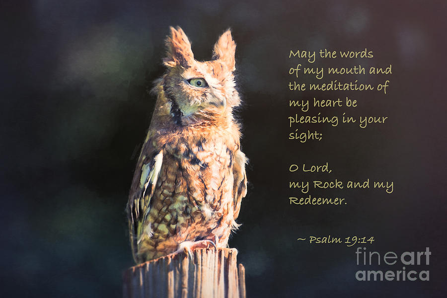 Pleasing In Your Sight - Psalm 19 Photograph by Sharon McConnell