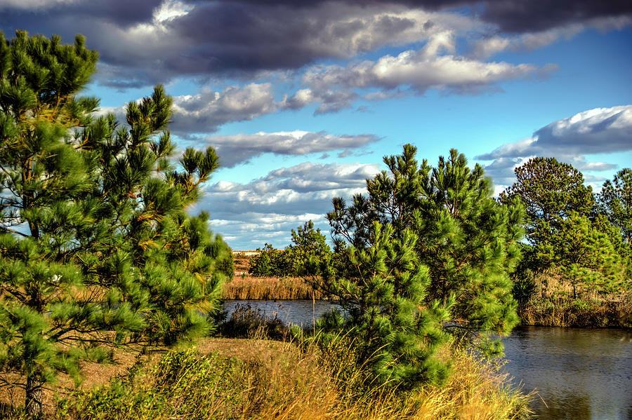 Landscape Photograph - Pleasure House Point Natural Area by Pete Federico Landscape Photograph - Pleasure House Point Natural Area by Pete Federico