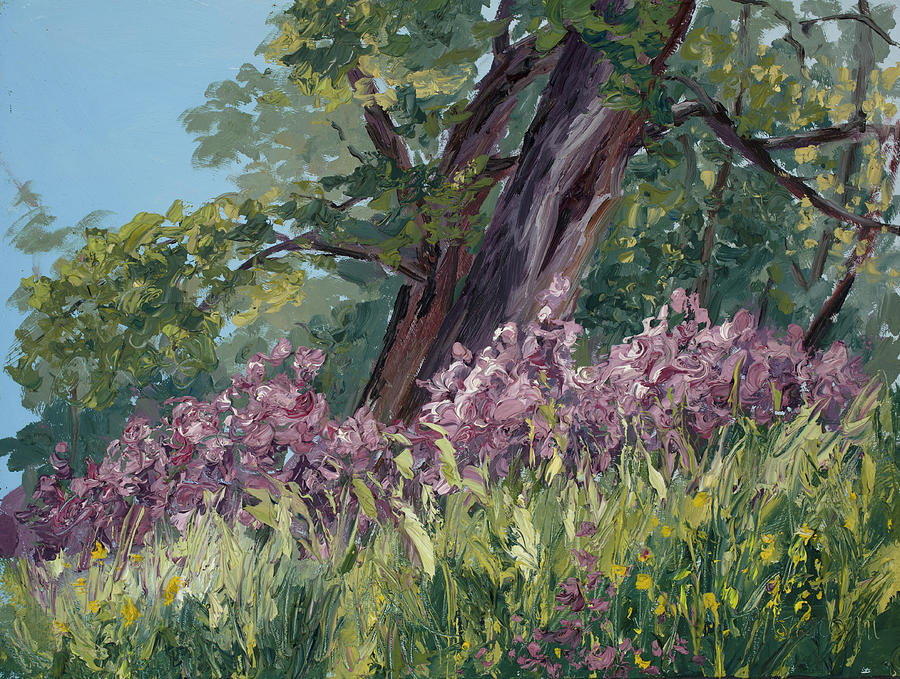 Plein Air Purple by Mary Giacomini Plein Air Purple by Mary Giacomini