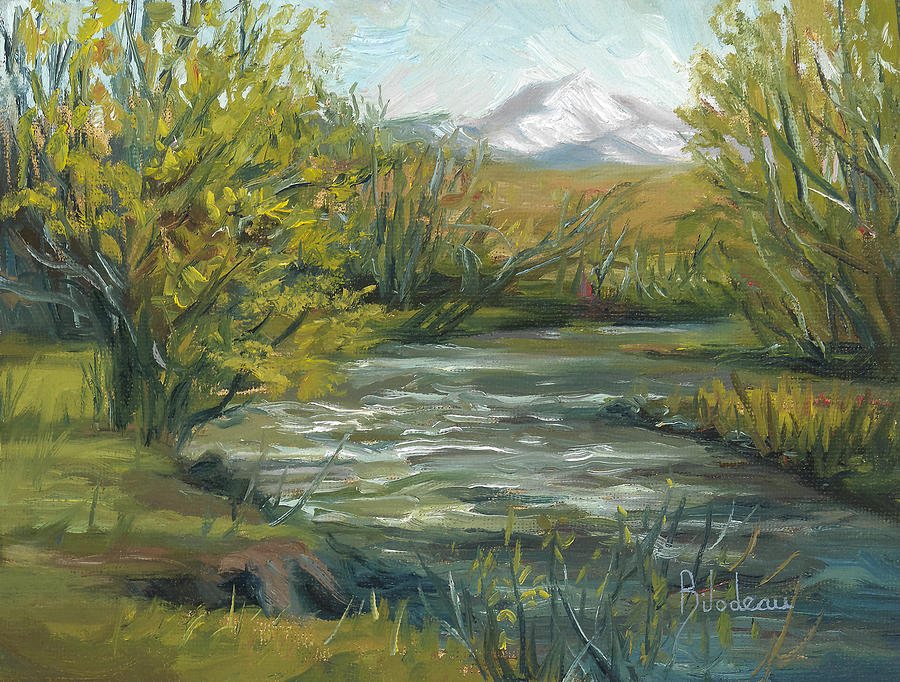 Nature Painting - Plein Air - Spring in Montana by Lucie Bilodeau