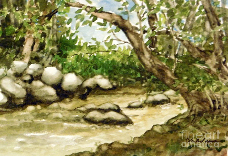 Plein Air Summer - Bear Creek Lake Park #1 Painting by Cheryl Emerson Adams