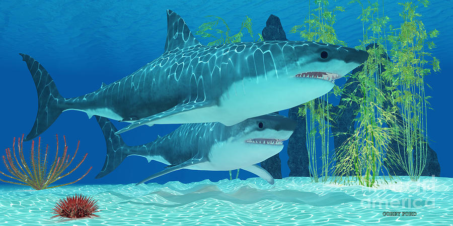Pleistocene Megalodon Shark Painting by Corey Ford