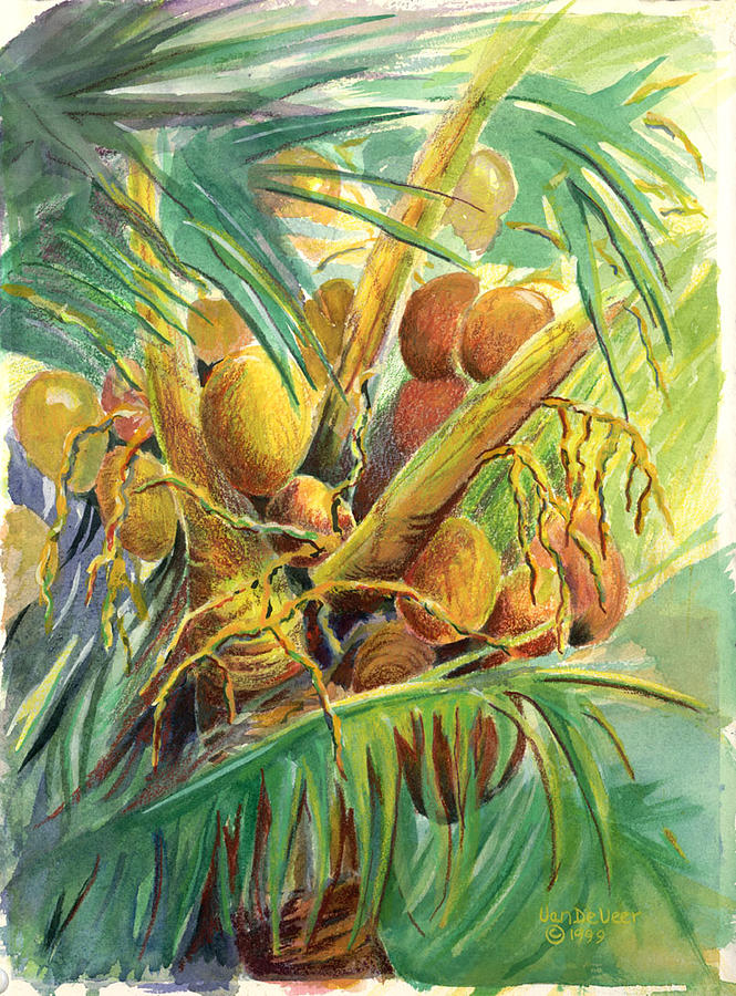 Plenty Coconuts Painting by Wicki Van De Veer