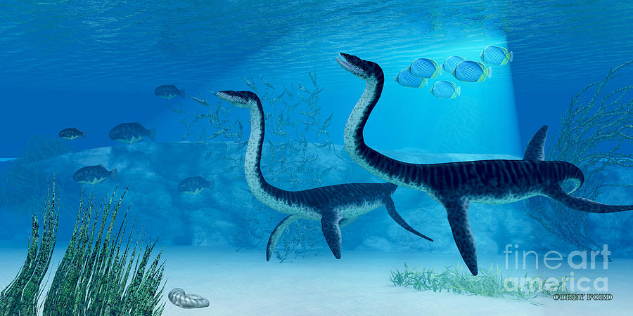 Plesiosaurus Dinosaur Painting by Corey Ford