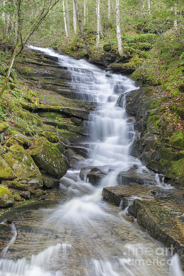 Nature Photograph - Plimpton Falls - Franconia New Hampshire by Erin Paul Donovan