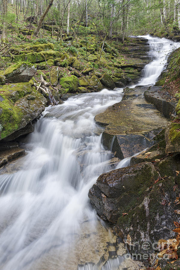 Nature Photograph - Plimpton Falls - White Mountains New Hampshire USA  by Erin Paul Donovan